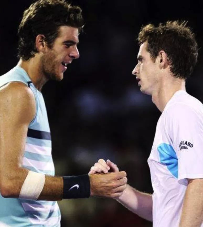 松木的香气 松木的香气