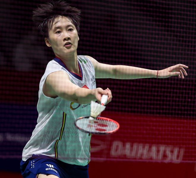 戴维和戈麦 戴维和戈麦