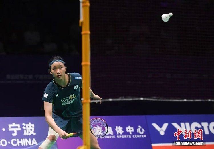 也证明球队 也证明球队